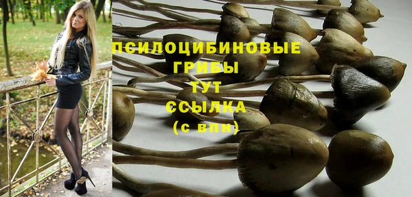 спиды Волоколамск