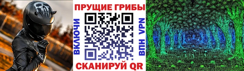 Псилоцибиновые грибы Magic Shrooms  Злынка 