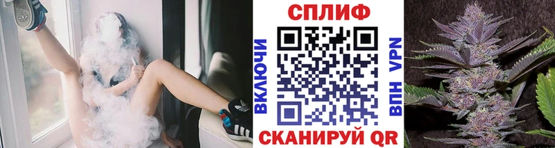 Бошки Шишки планчик Злынка