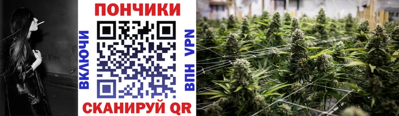 МАРИХУАНА ГИДРОПОН  купить наркоту  Злынка 